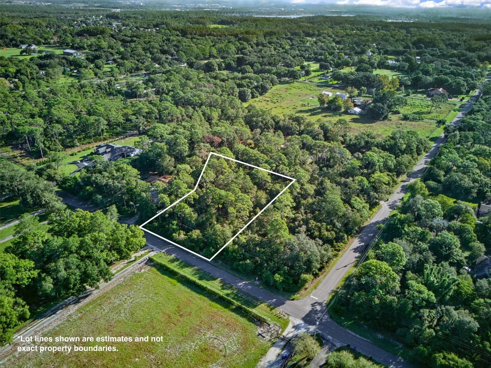 Land at 19807 HIAWATHA RD, ODESSA, photo 4 of 10