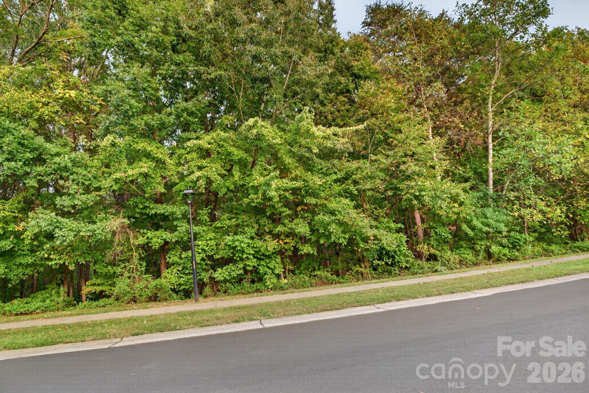 Acreage at 0 Seay Drive, Advance, photo 6 of 28