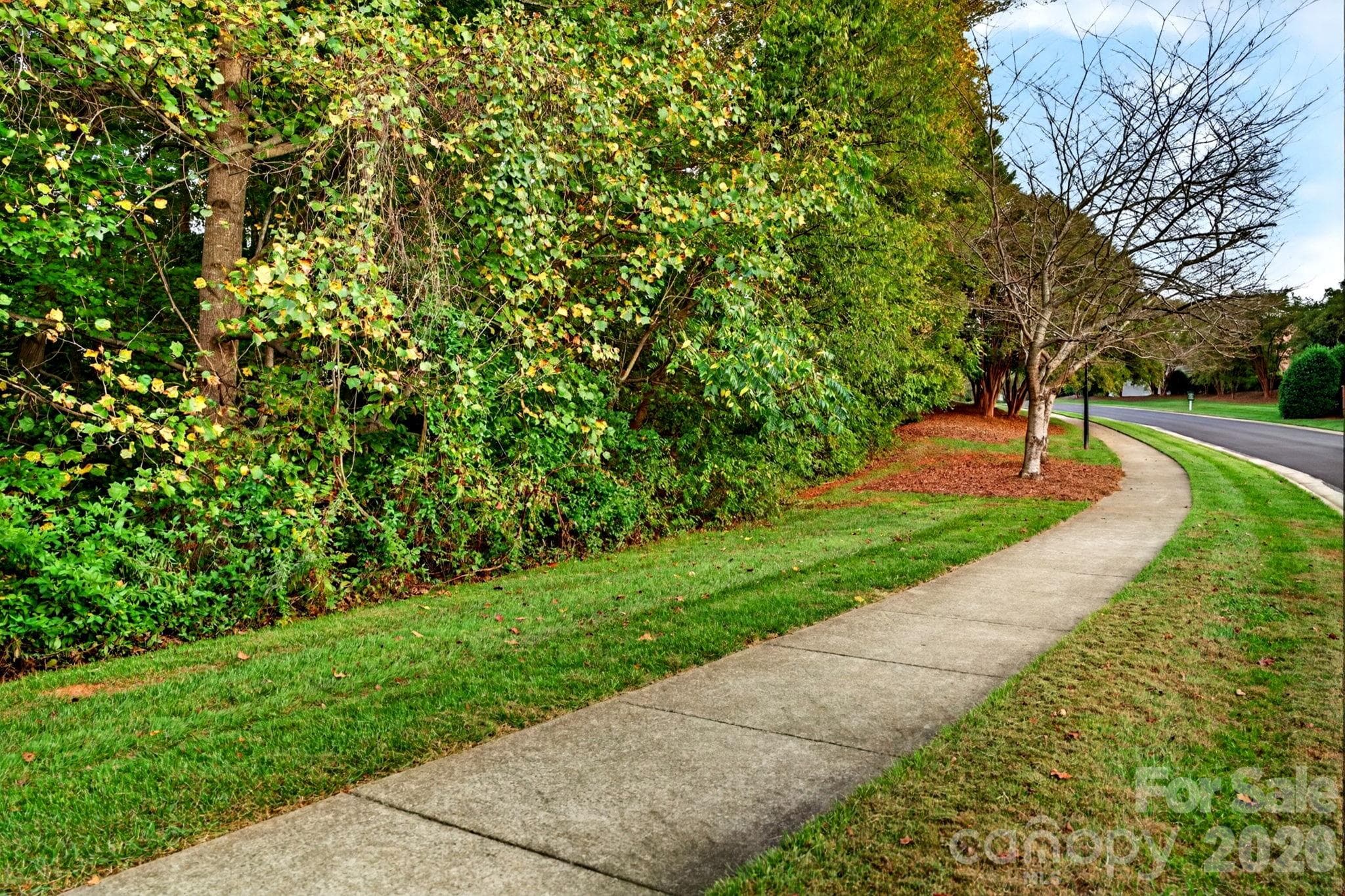 Acreage at 0 Seay Drive, Advance, photo 7 of 28