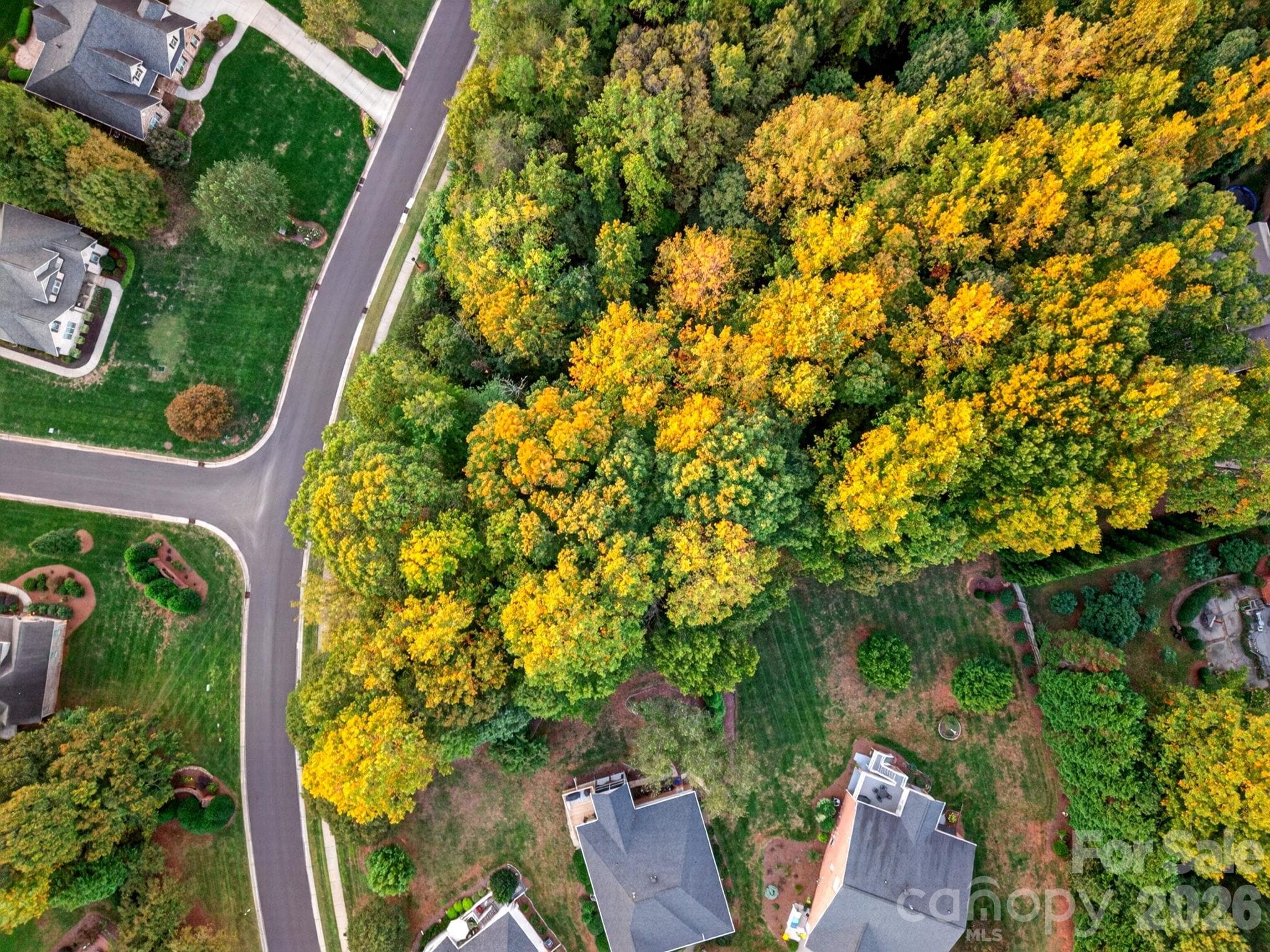 Acreage at 0 Seay Drive, Advance, photo 16 of 28
