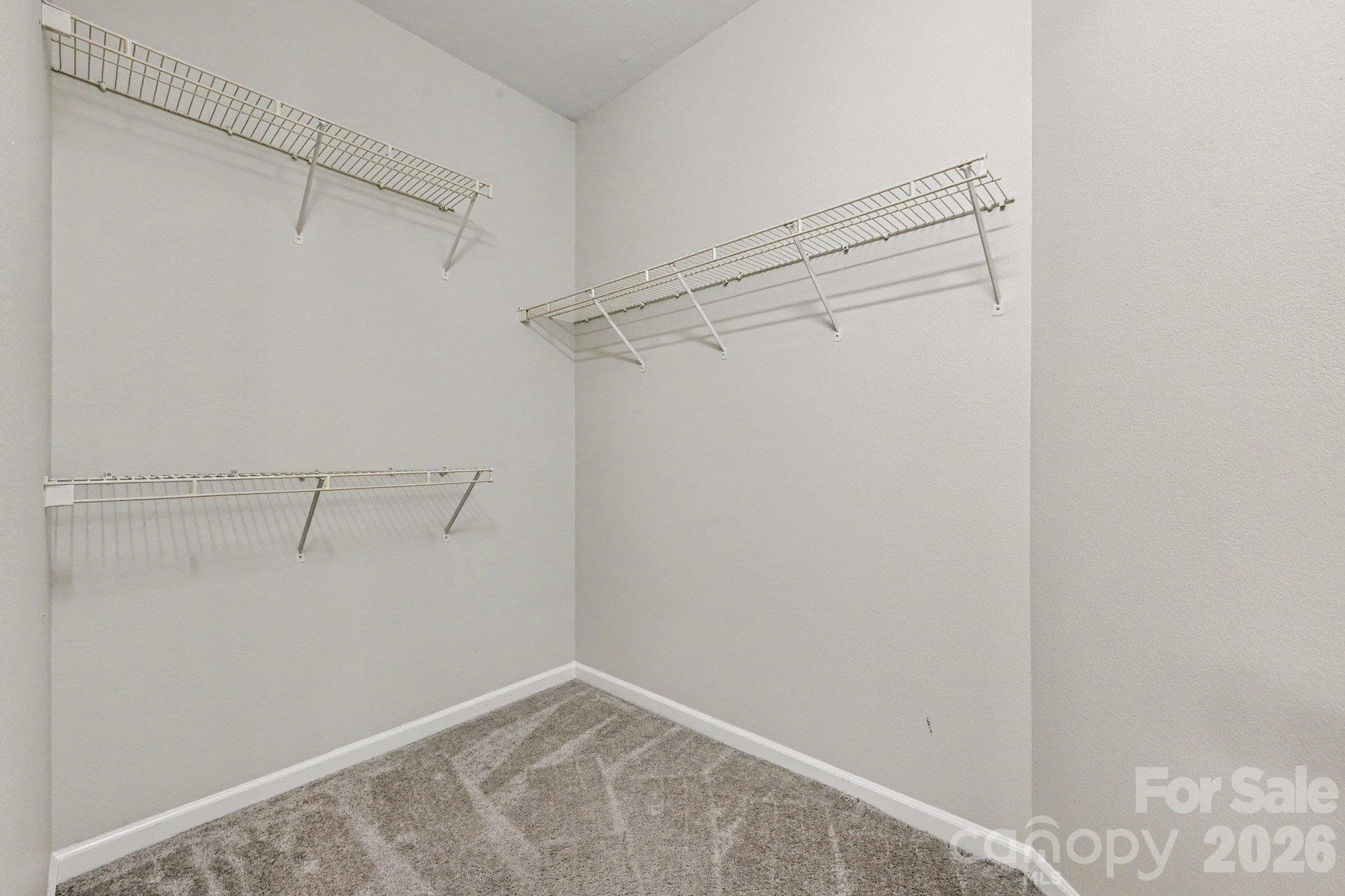 Primary walk-in closet - 8334 Carob Tree Lane, Charlotte