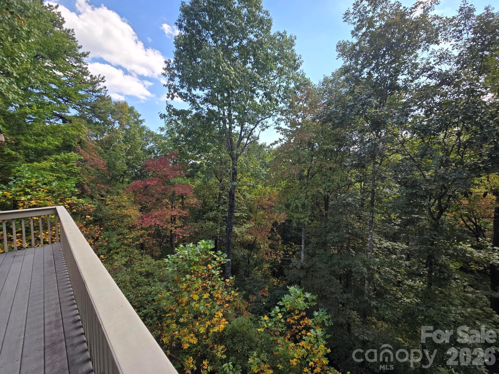 Single Family Residence at 128 Sullivan Lane, Lake Lure, photo 31 of 47