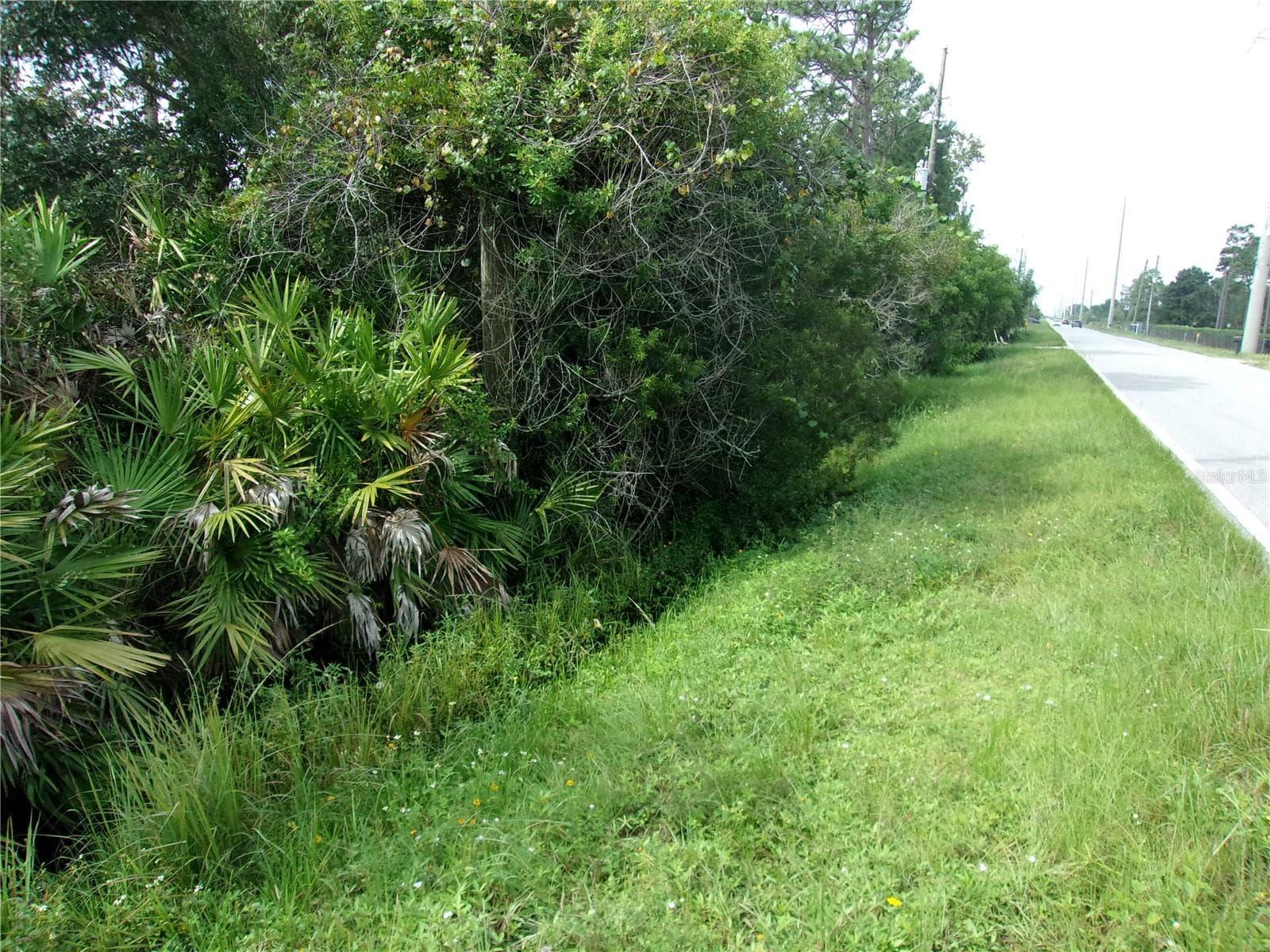 Land at 4480 DEER RUN RD, ST CLOUD, photo 6 of 22
