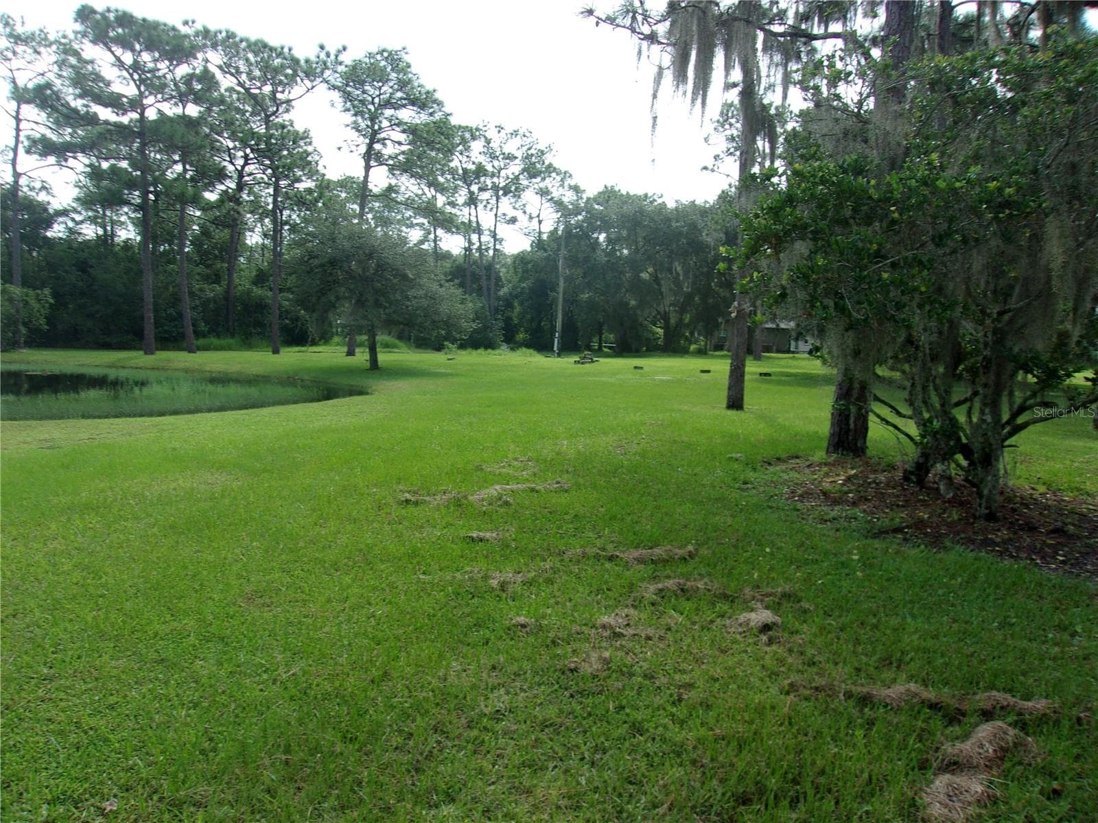 Land at 4480 DEER RUN RD, ST CLOUD, photo 7 of 22