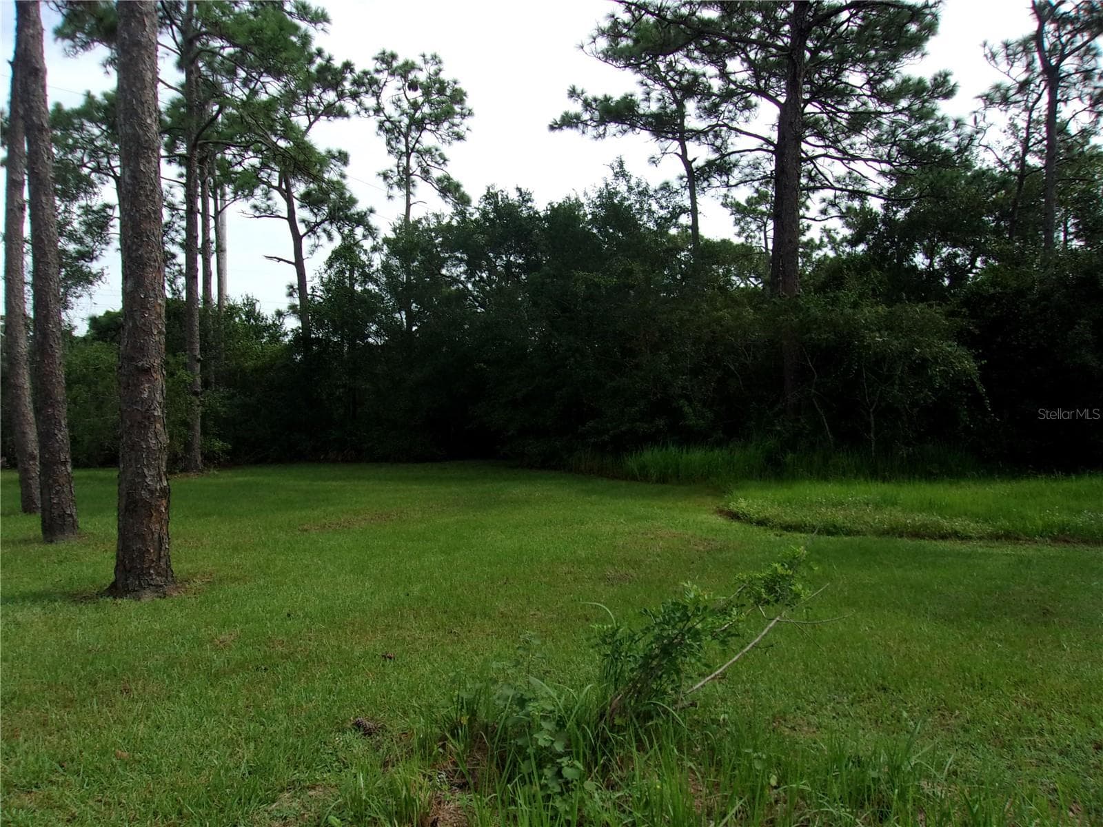 Land at 4480 DEER RUN RD, ST CLOUD, photo 13 of 22