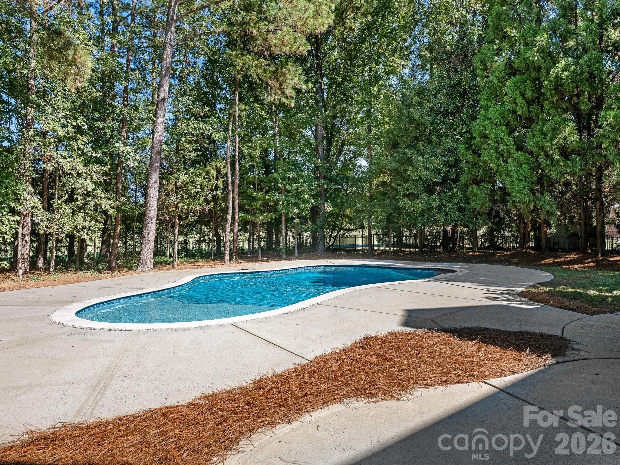 Pool & Back Yard - 9200 Skipaway Drive, Waxhaw