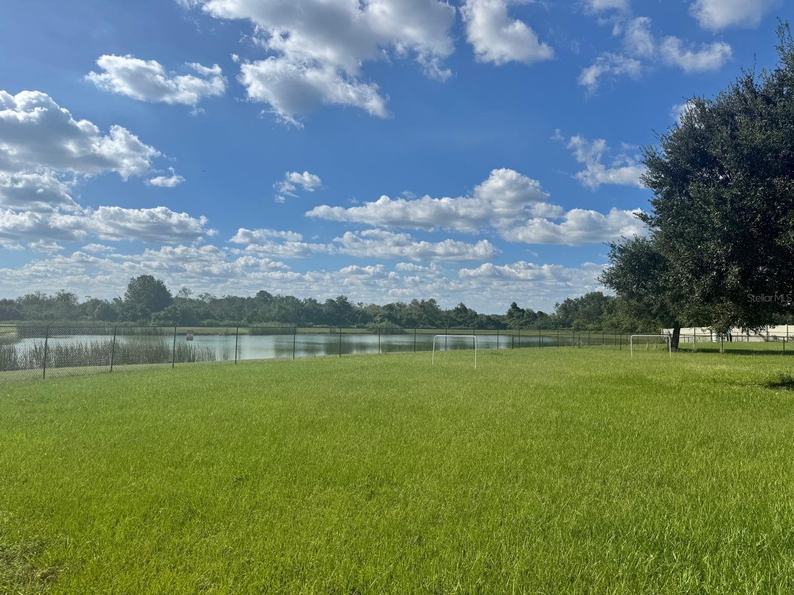 Back yard view - 5223 PANCHO VILLA LN, PLANT CITY