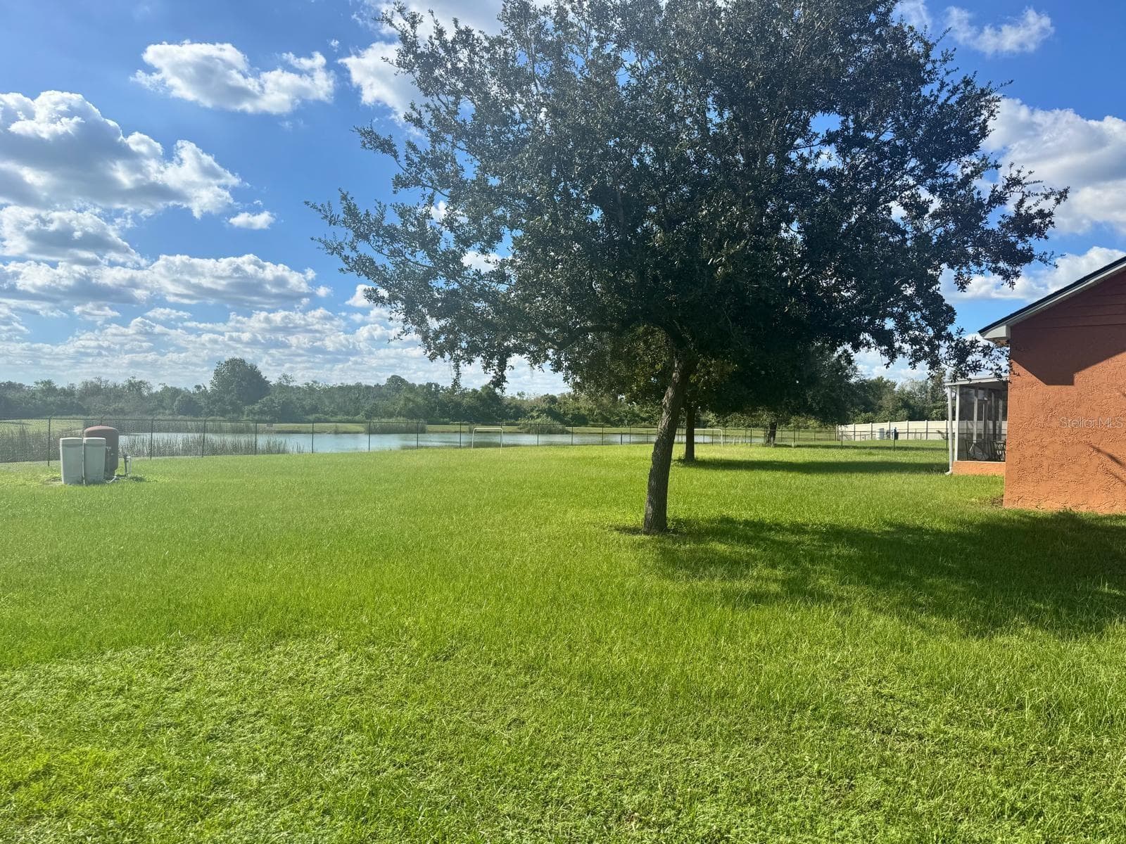 Back yard - 5223 PANCHO VILLA LN, PLANT CITY