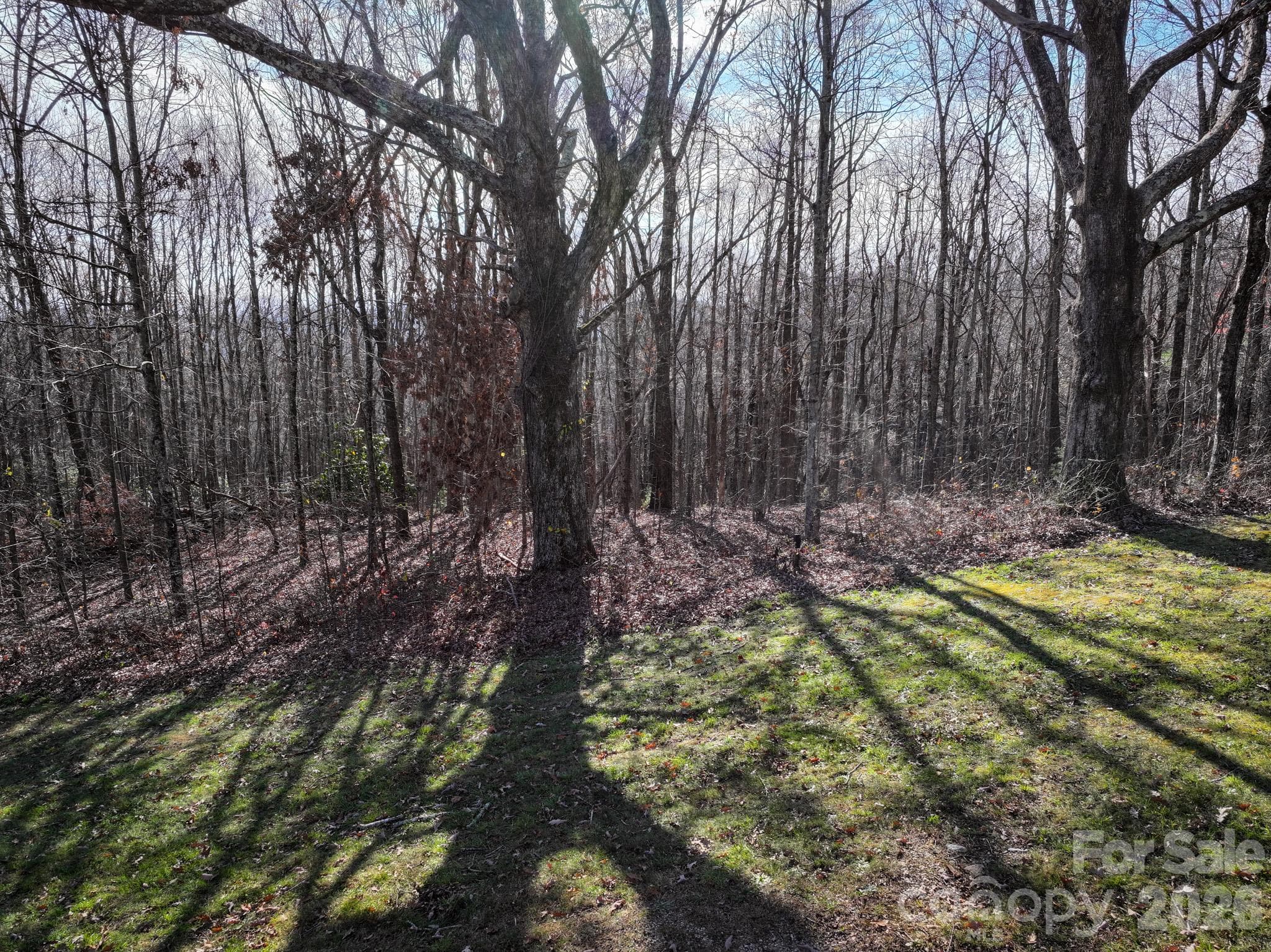 Lot at 0000 Grand Highlands None, Gerton, photo 4 of 7