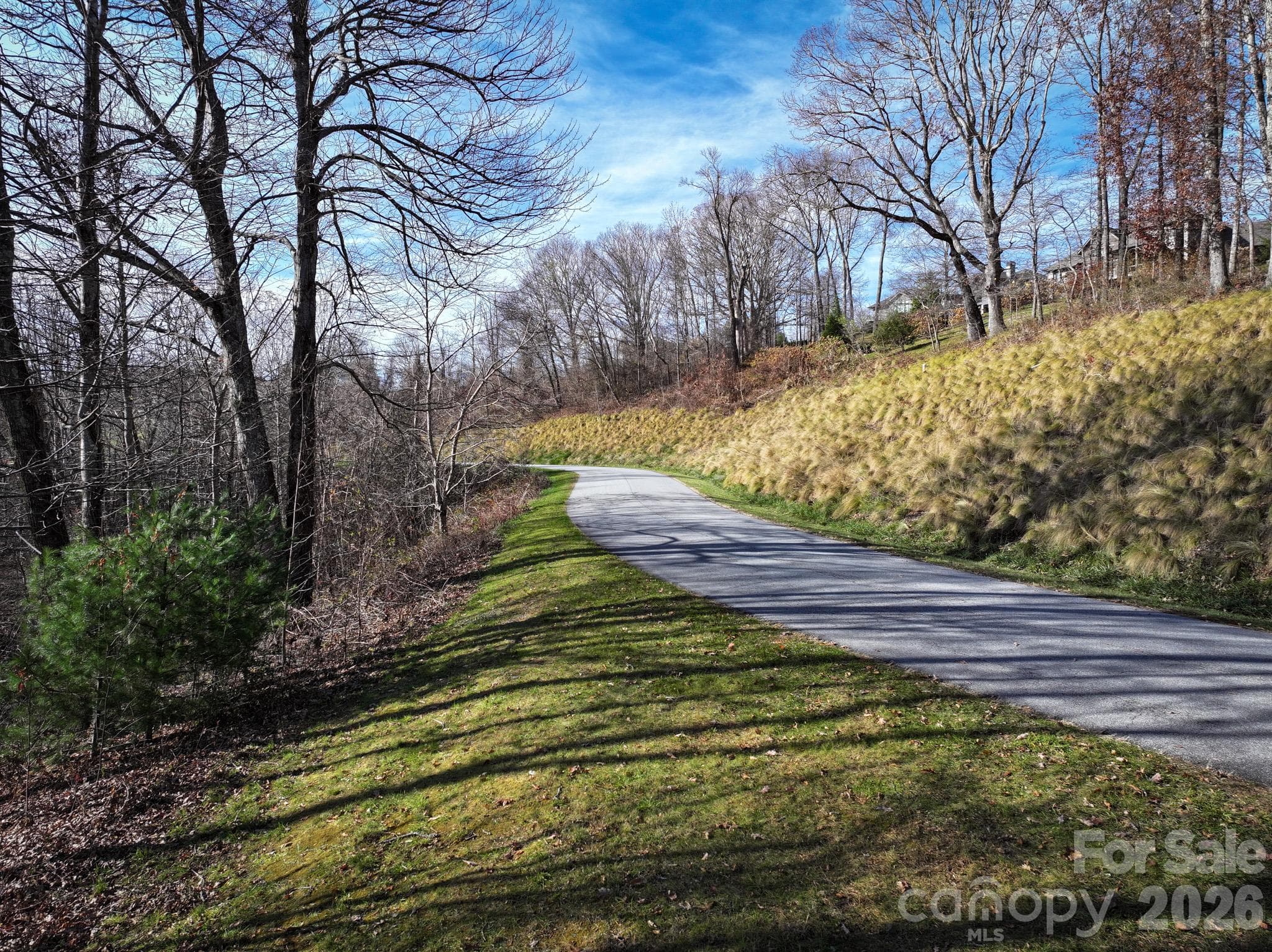 Lot at 0000 Grand Highlands None, Gerton, photo 5 of 7
