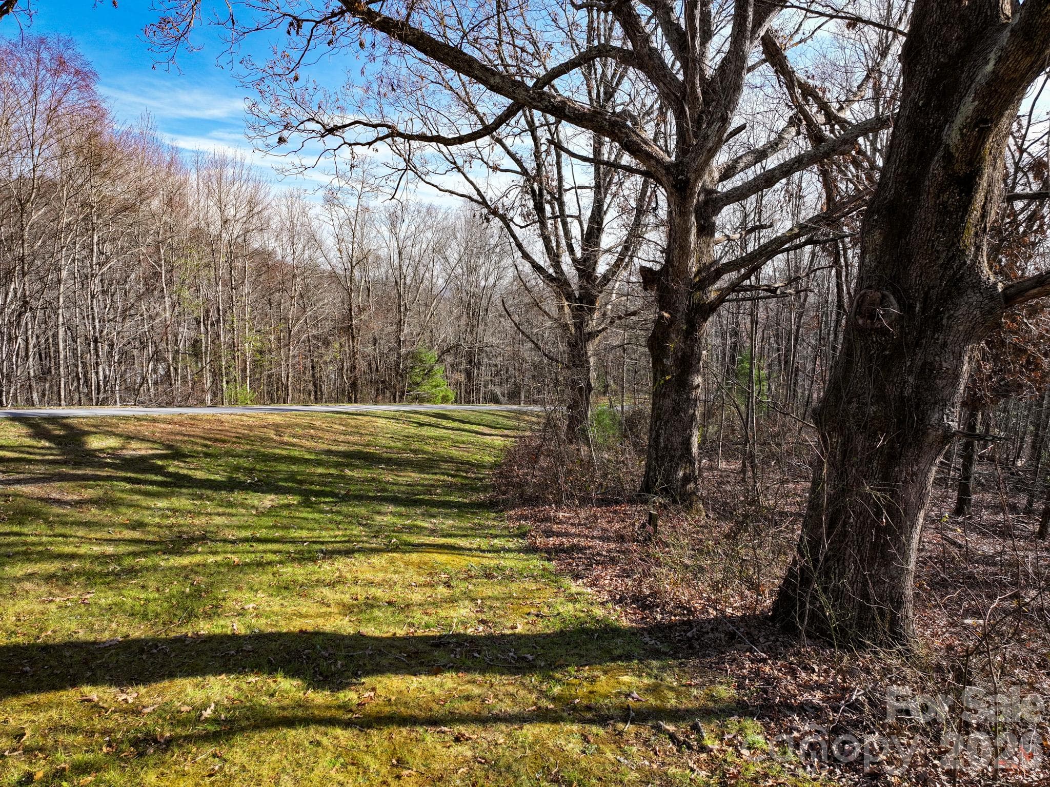 Lot at 0000 Grand Highlands None, Gerton, photo 6 of 7