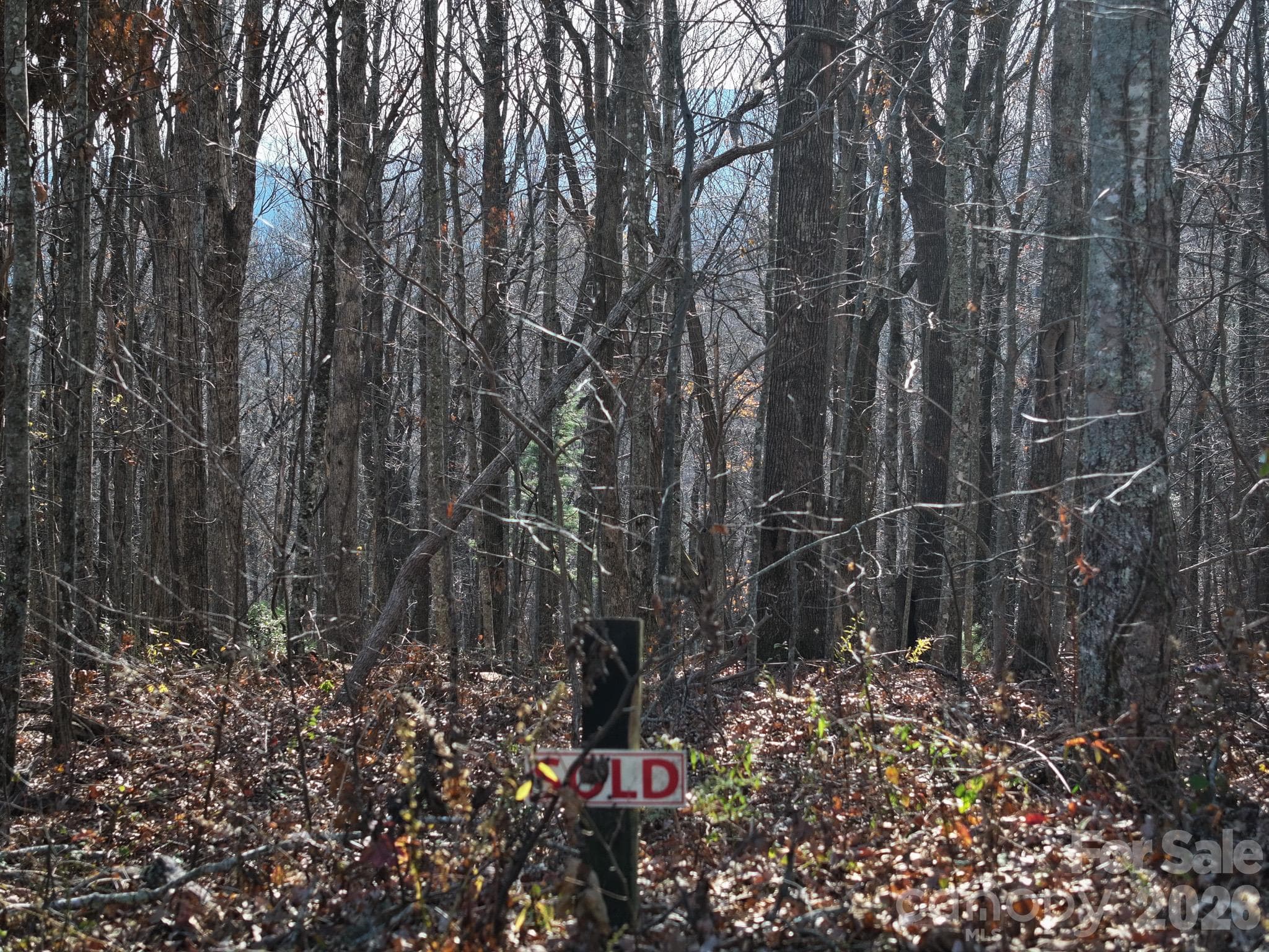 Lot at 0000 Grand Highlands None, Gerton, photo 7 of 7