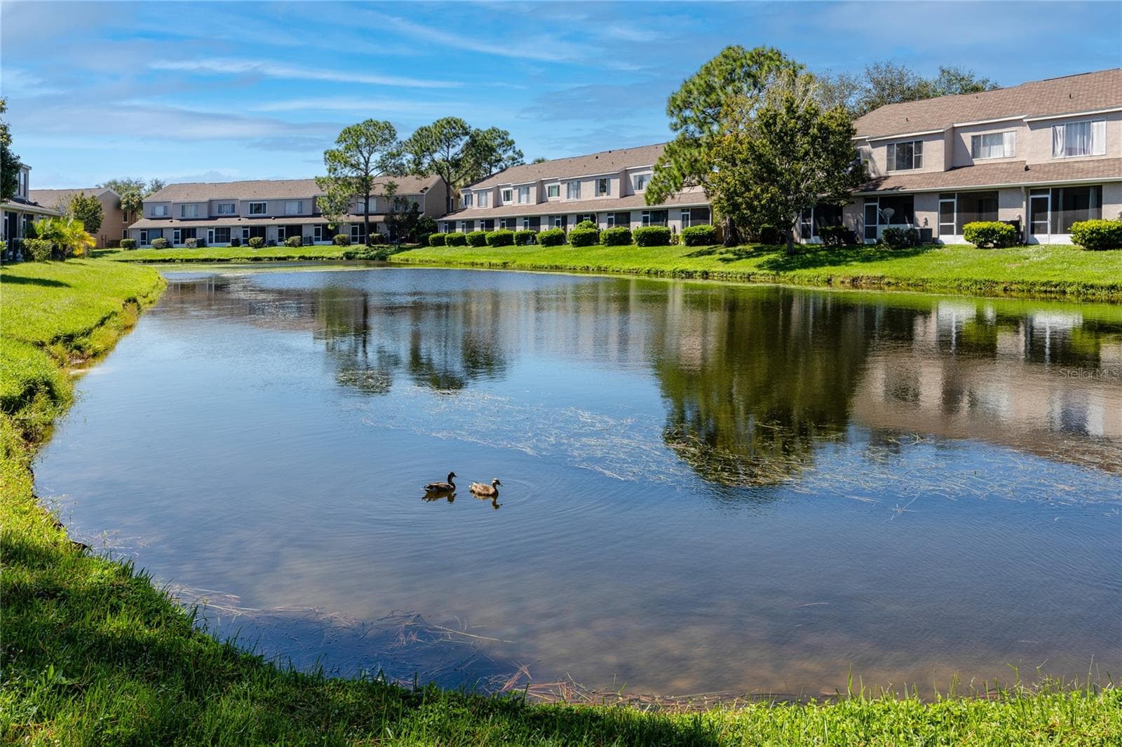 Back Yard with Pond Views  -6229 Bayside Key Dr, Tampa, FL 33615 - 6229 BAYSIDE KEY DR, TAMPA