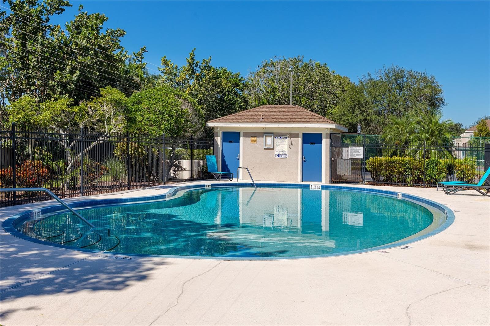 Pool at Bayside Key, Tampa, FL - 6229 BAYSIDE KEY DR, TAMPA
