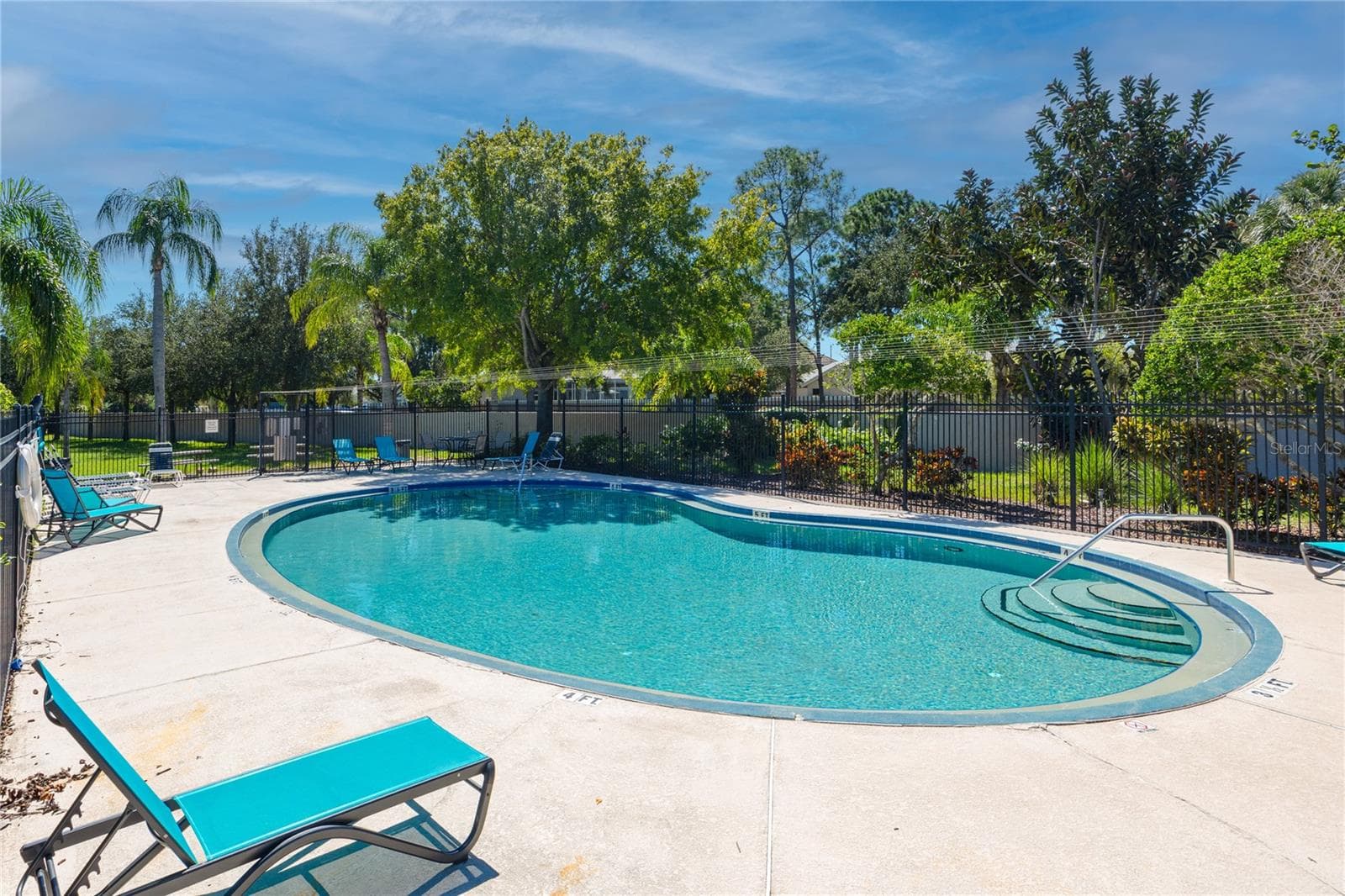 Pool at Bayside Key, Tampa, FL - 6229 BAYSIDE KEY DR, TAMPA