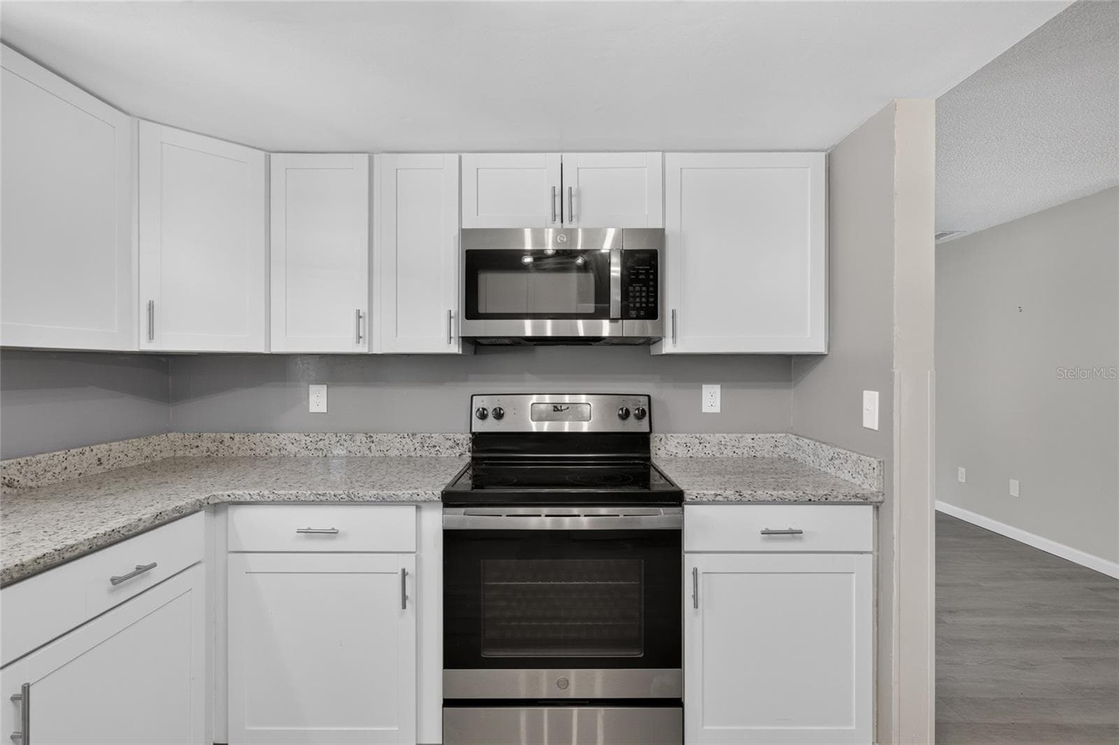 Single Family Residence at 10182 SW 87TH TER, OCALA, photo 10 of 50