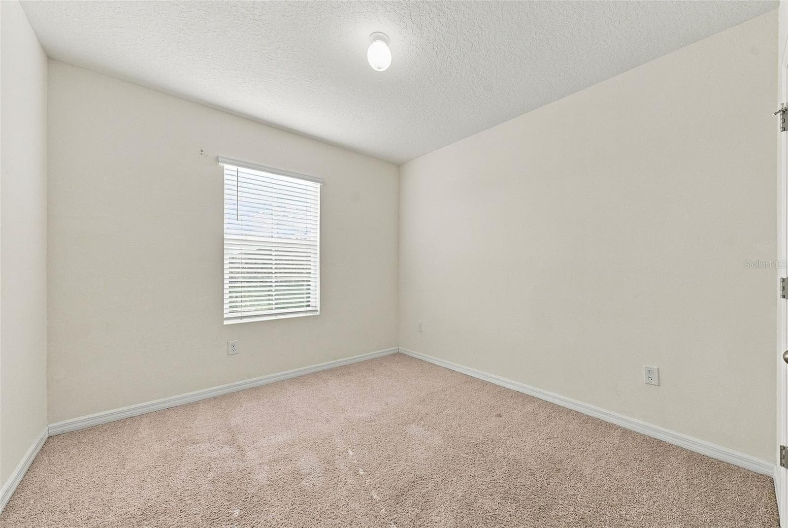 Single Family Residence at 8028 PELICAN REED CIR, WESLEY CHAPEL, photo 25 of 49