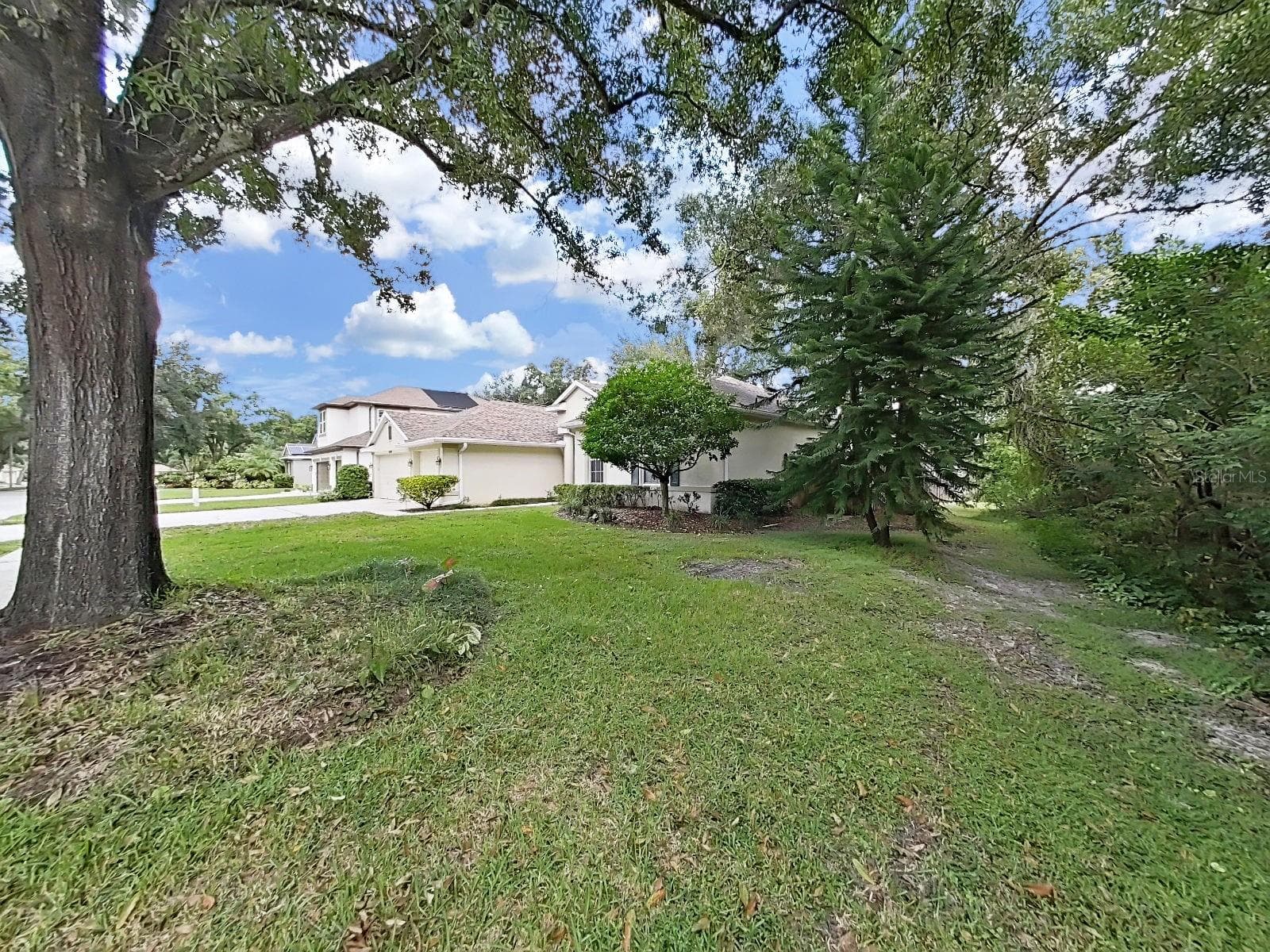 Private Side Yard - 14915 DEVONSHIRE WOODS PL, TAMPA