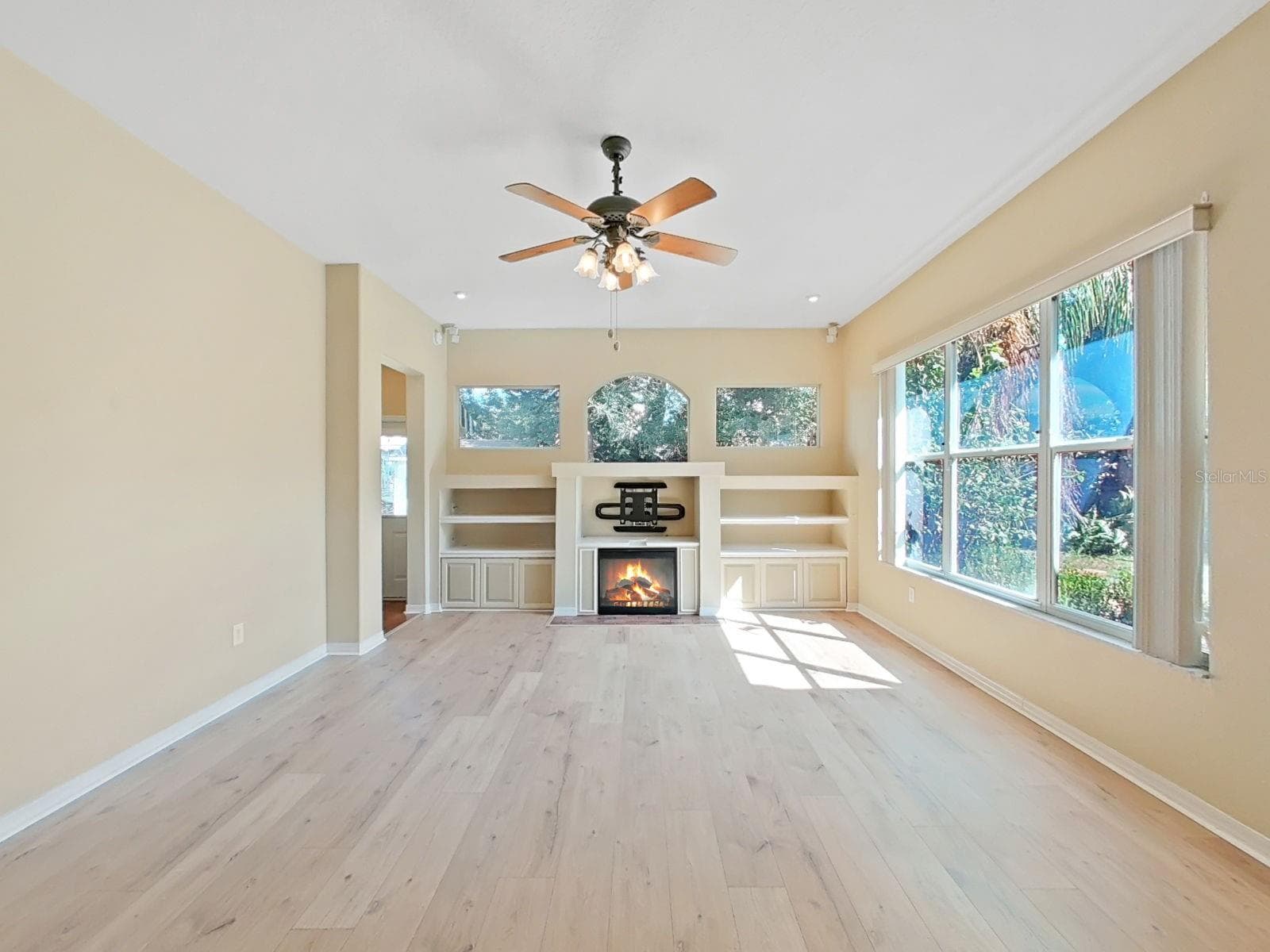 Shelving ~ Cabinets ~ Electric Fireplace - 14915 DEVONSHIRE WOODS PL, TAMPA