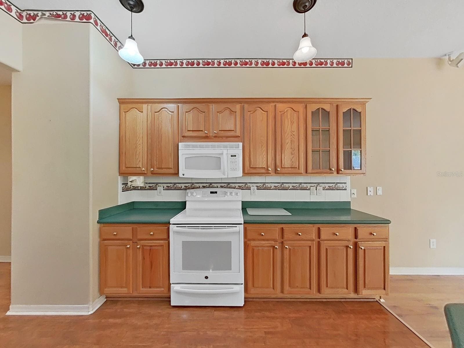Lighted Glass Cabinets - 14915 DEVONSHIRE WOODS PL, TAMPA