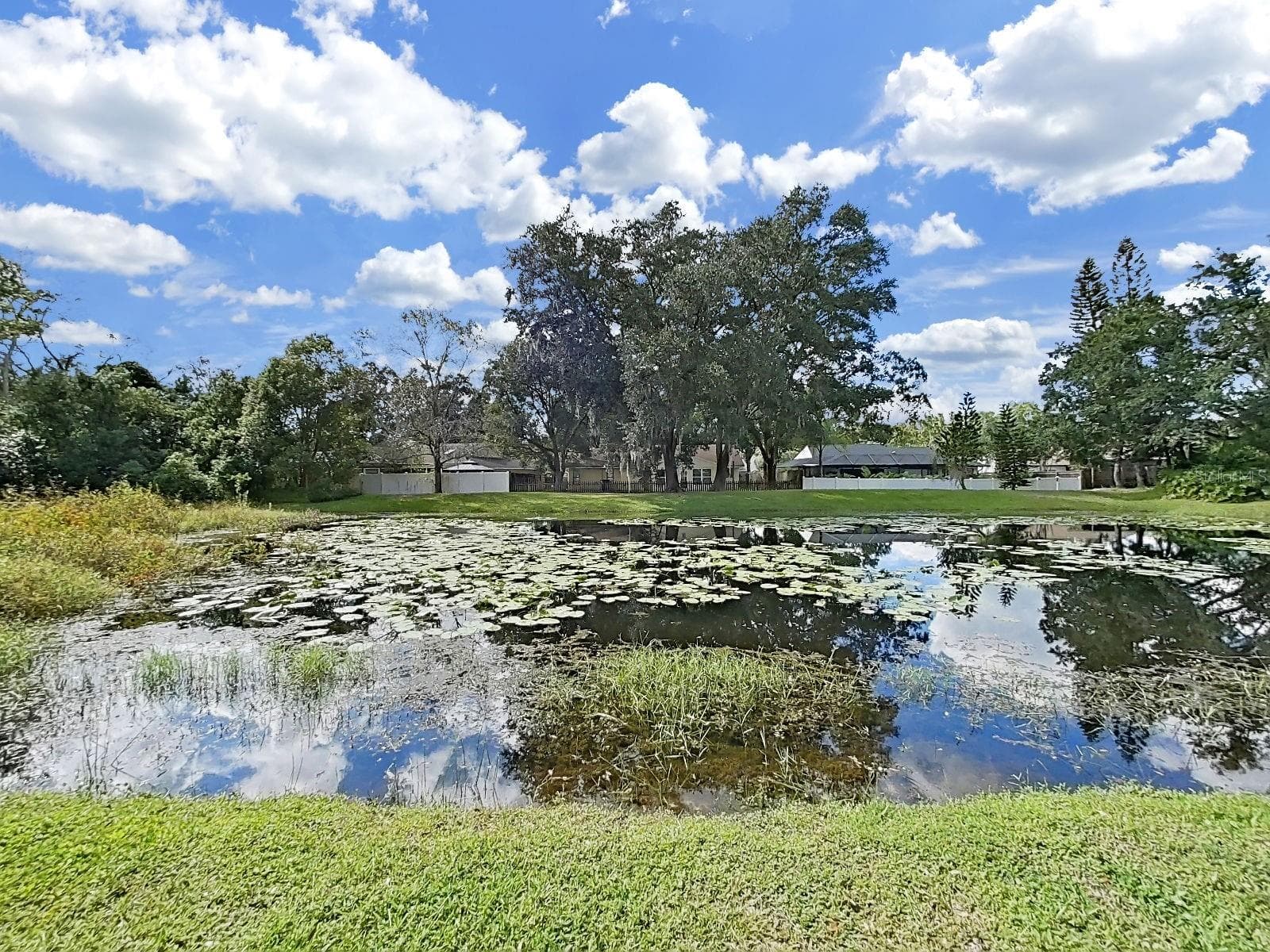 One of Two Ponds Across the Street - 14915 DEVONSHIRE WOODS PL, TAMPA