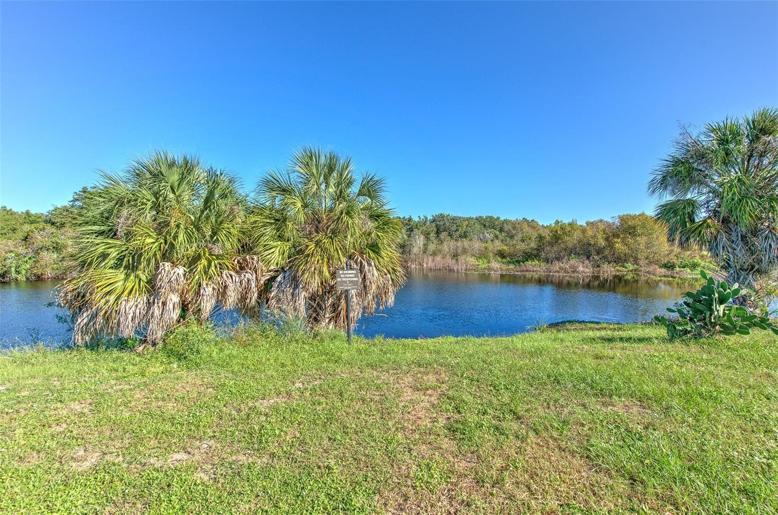 Single Family Residence at 8804 SANDY PLAINS DR, RIVERVIEW, photo 5 of 45
