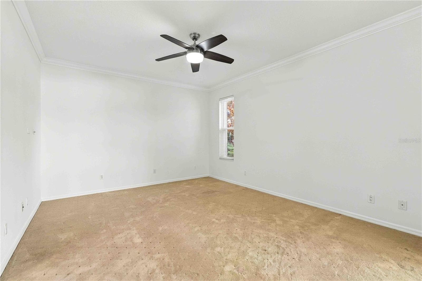 Primary - 8216 ASHFORD FALLS CT, SARASOTA