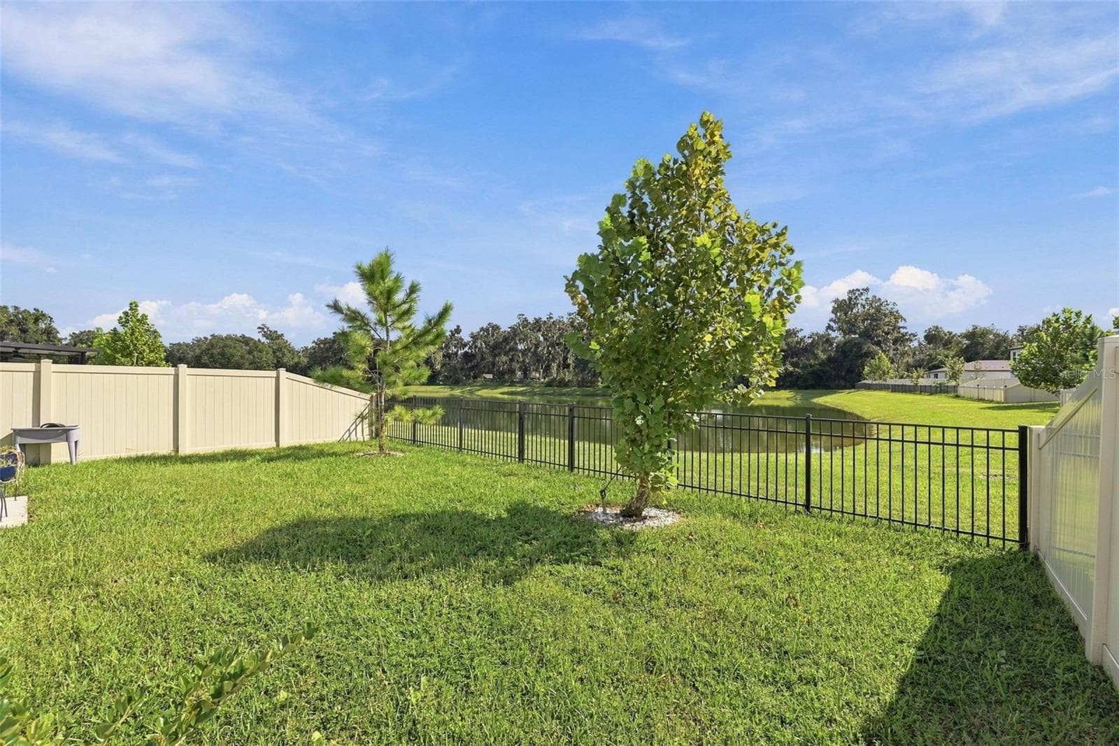 Single Family Residence at 3708 RADIANT MOUNTAIN DR, PLANT CITY, photo 37 of 48