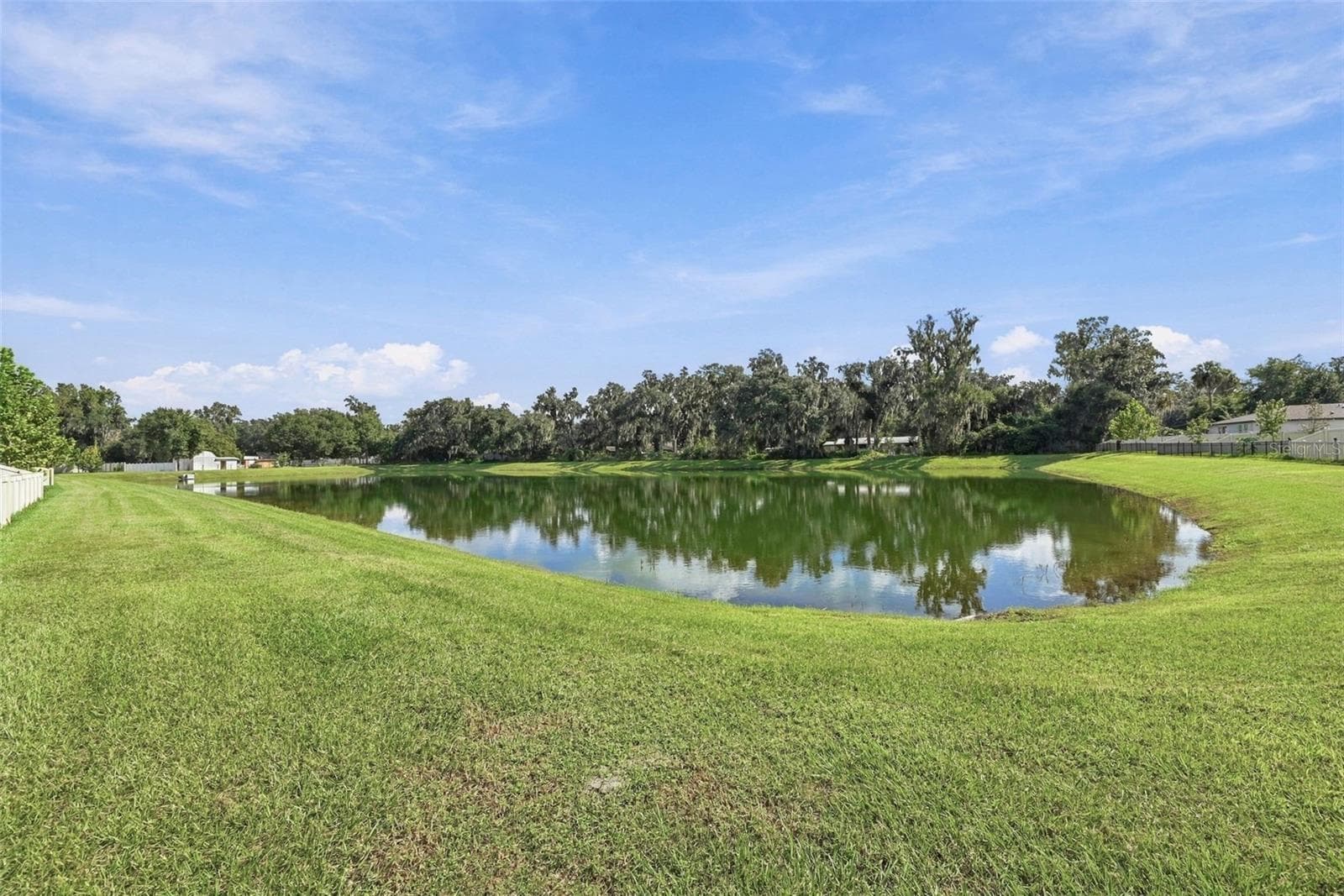 Single Family Residence at 3708 RADIANT MOUNTAIN DR, PLANT CITY, photo 39 of 48