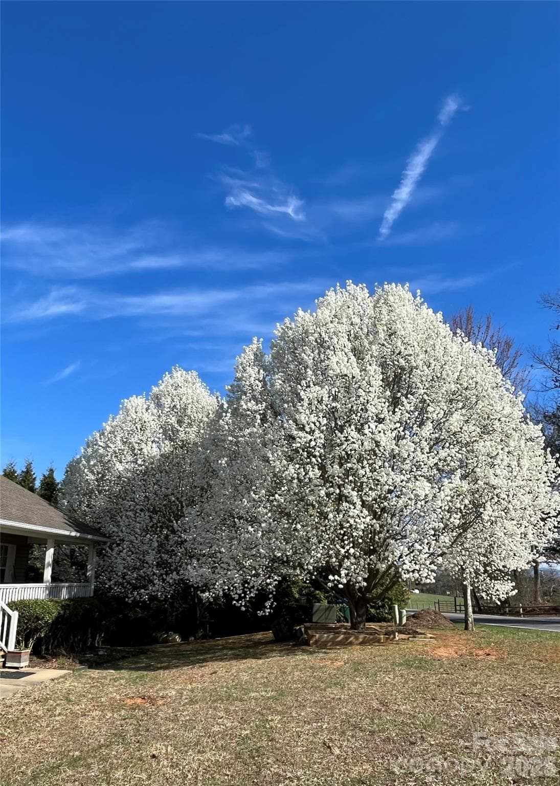 Seasons by Seller - 499 Flint Hill Road, Alexander