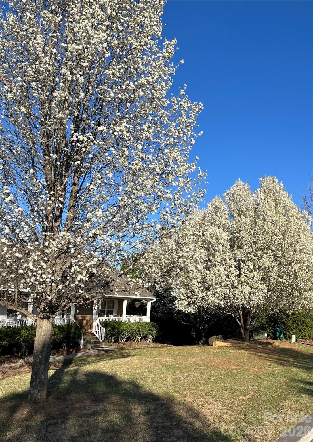 Seasons by Seller - 499 Flint Hill Road, Alexander
