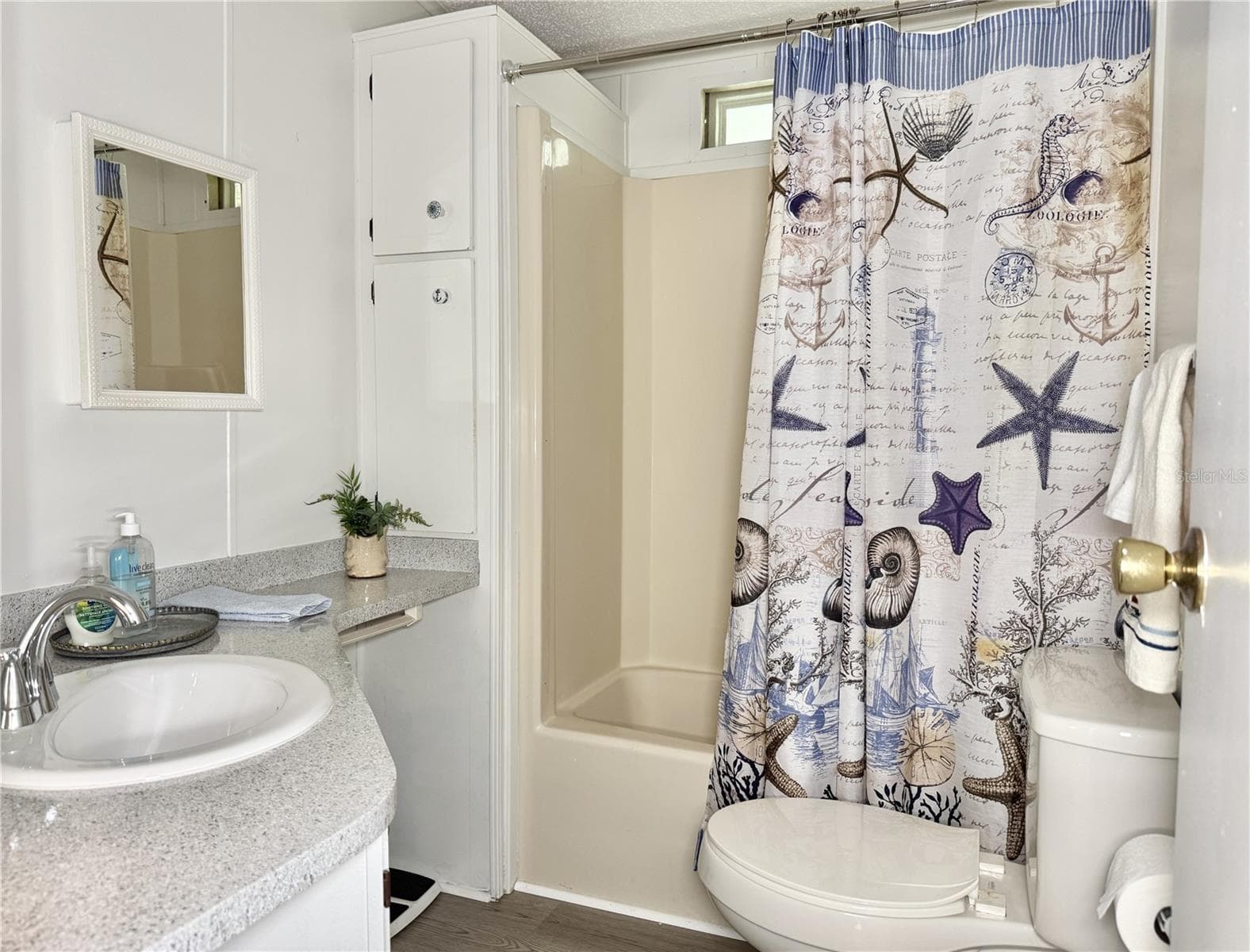 Guest Bath - 37631 CAMPO AVENUE, ZEPHYRHILLS