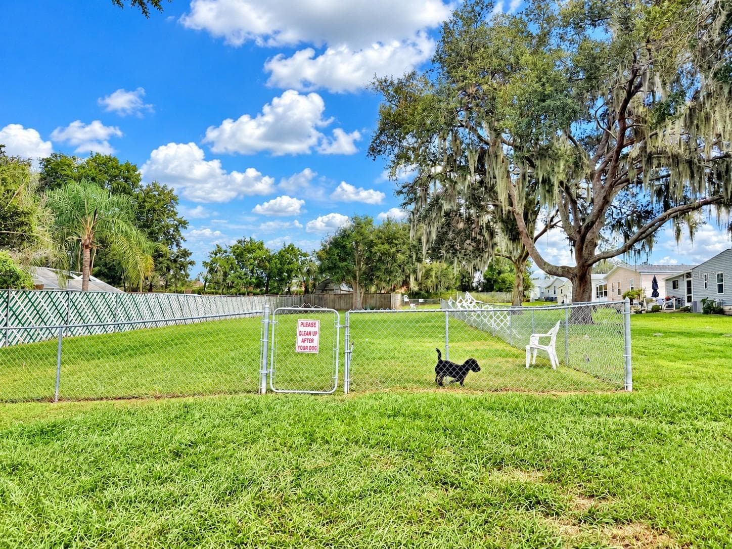 Community Dog Park - 37631 CAMPO AVENUE, ZEPHYRHILLS