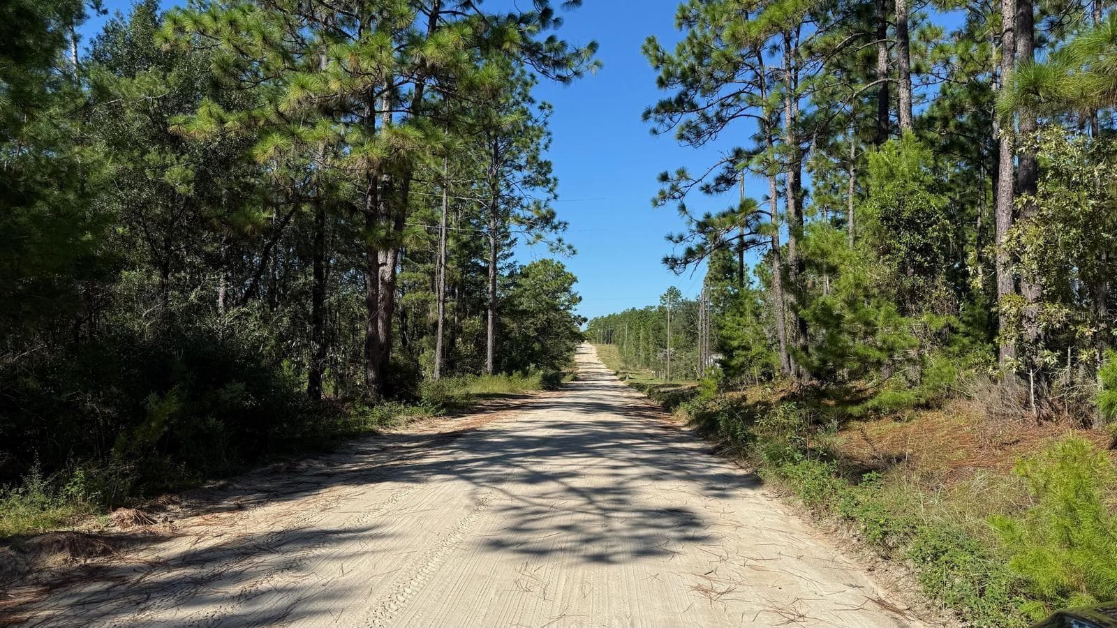 Land at 113 ROME AVE, INTERLACHEN, photo 3 of 16