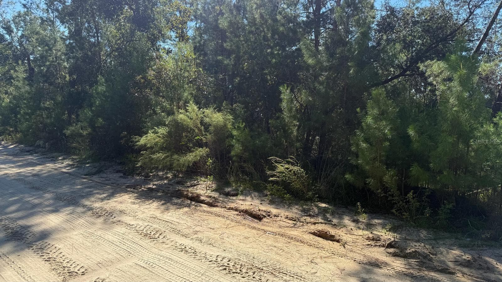 Land at 113 ROME AVE, INTERLACHEN, photo 5 of 16