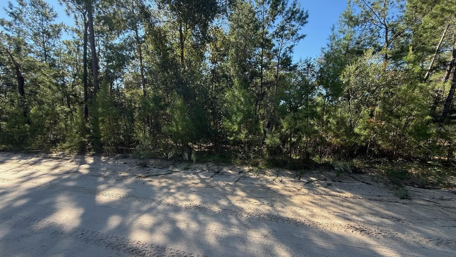 Land at 113 ROME AVE, INTERLACHEN, photo 9 of 16