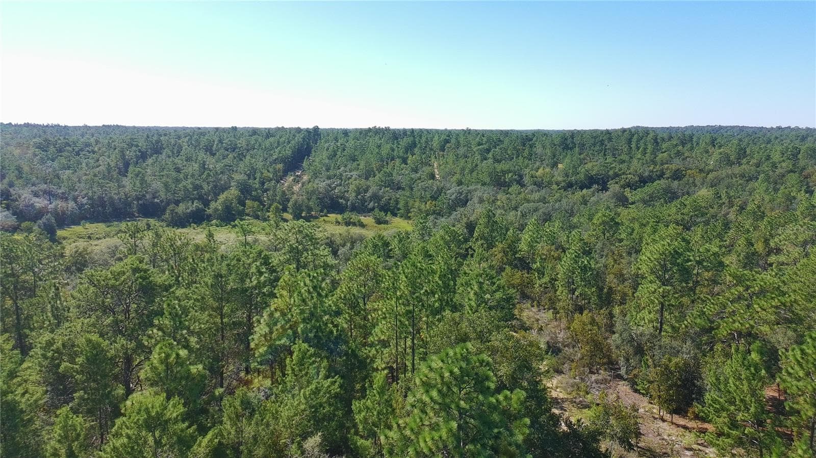 Land at 113 ROME AVE, INTERLACHEN, photo 11 of 16