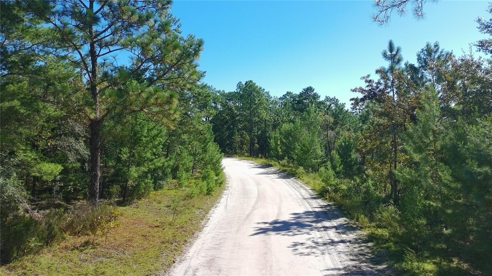 Land at 113 ROME AVE, INTERLACHEN, photo 14 of 16