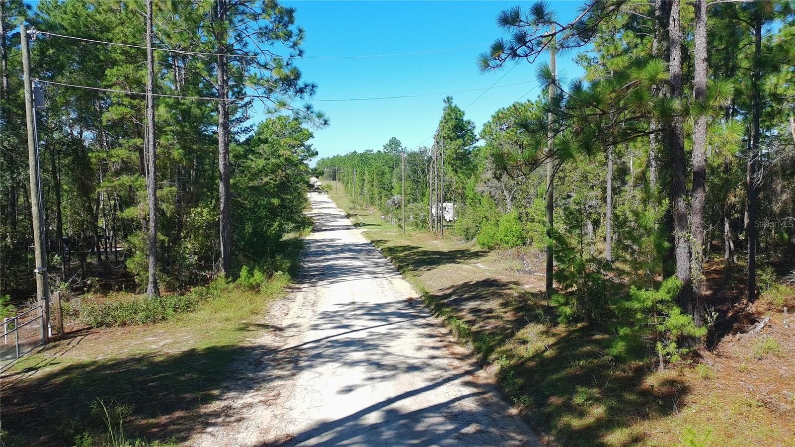 Land at 113 ROME AVE, INTERLACHEN, photo 15 of 16