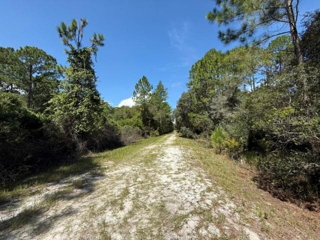 Land at 337 PALM WAY, GEORGETOWN, photo 2 of 7