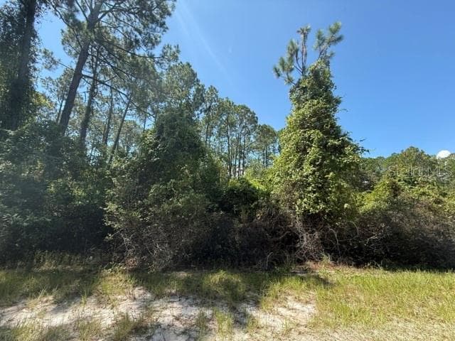 Land at 337 PALM WAY, GEORGETOWN, photo 3 of 7