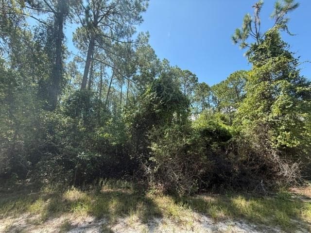 Land at 337 PALM WAY, GEORGETOWN, photo 4 of 7