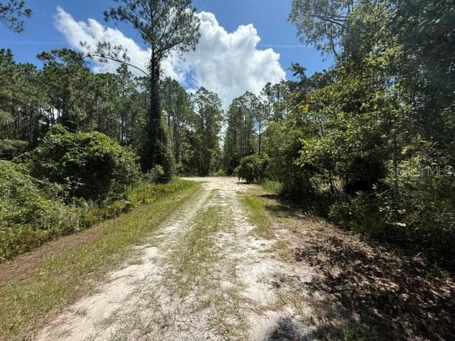 Land at 337 PALM WAY, GEORGETOWN, photo 5 of 7