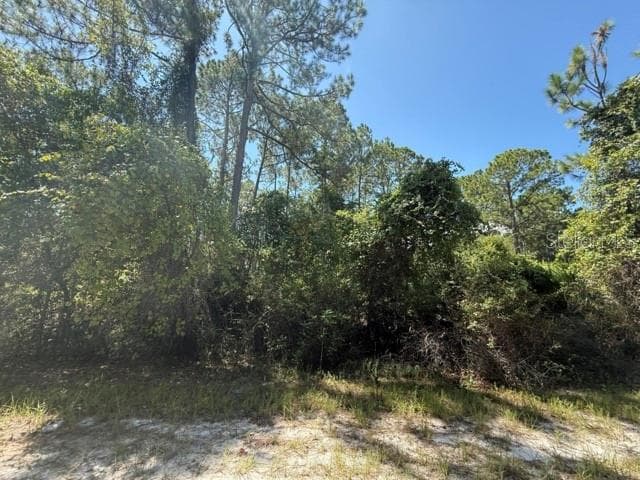 Land at 337 PALM WAY, GEORGETOWN, photo 6 of 7