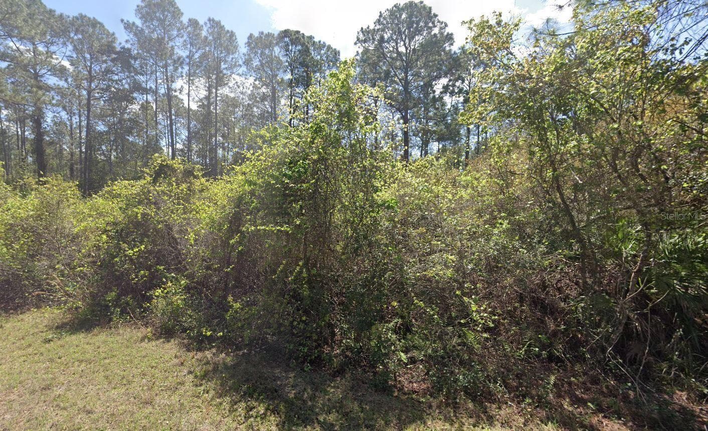 Land at 337 PALM WAY, GEORGETOWN, photo 7 of 7