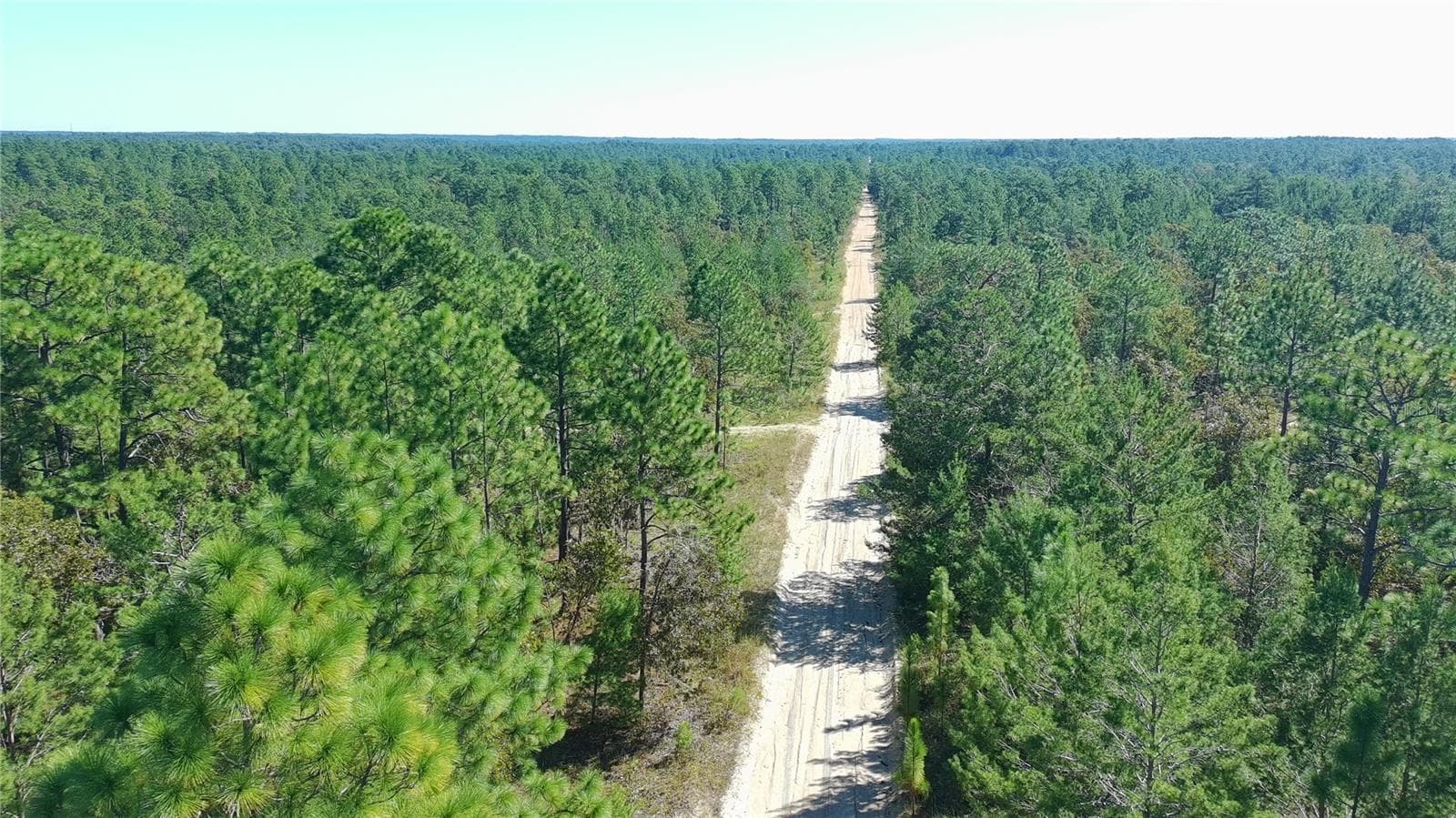 Land at 1802 FERN AVE, INTERLACHEN, photo 10 of 13