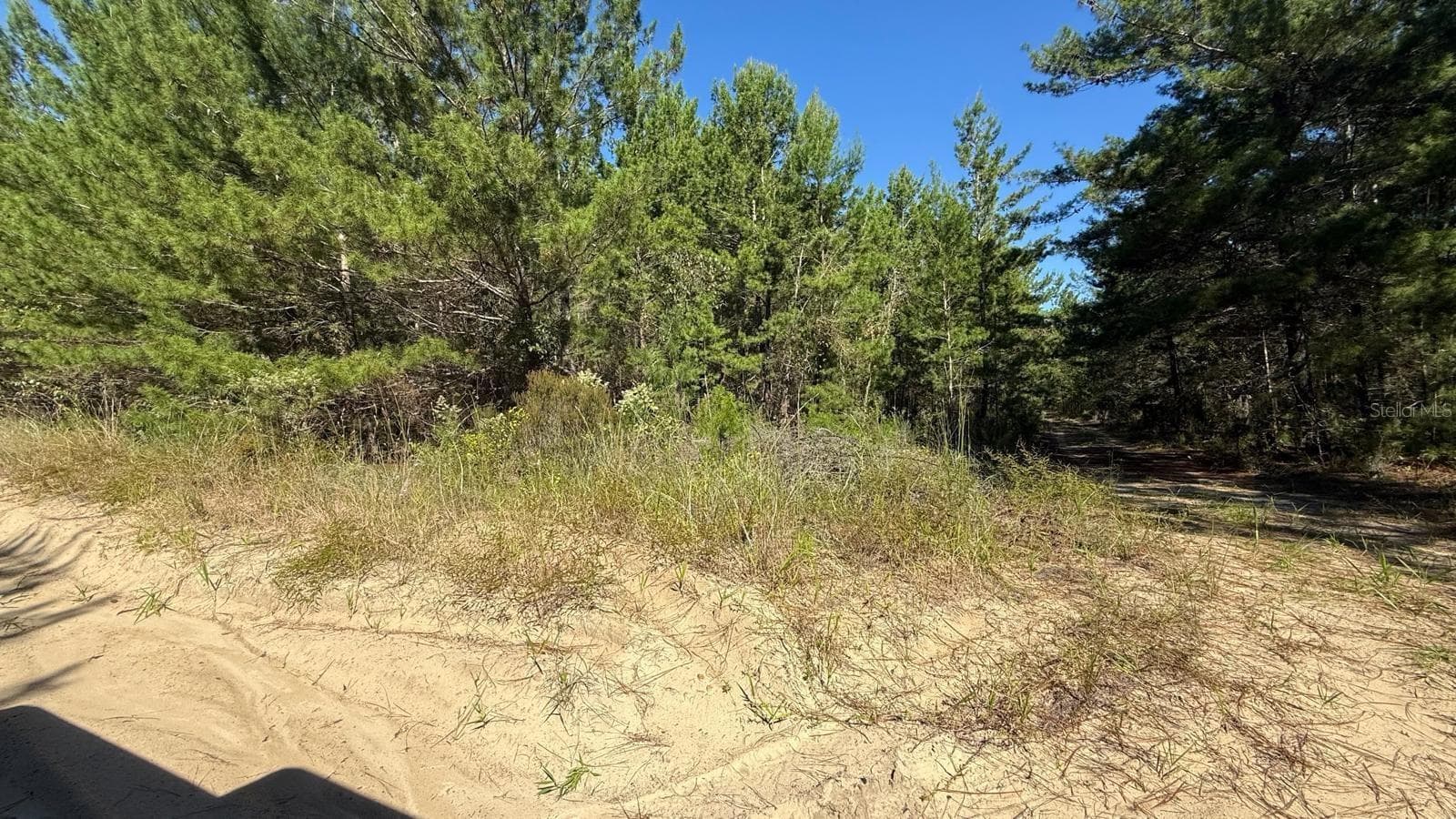 Land at 1802 FERN AVE, INTERLACHEN, photo 13 of 13