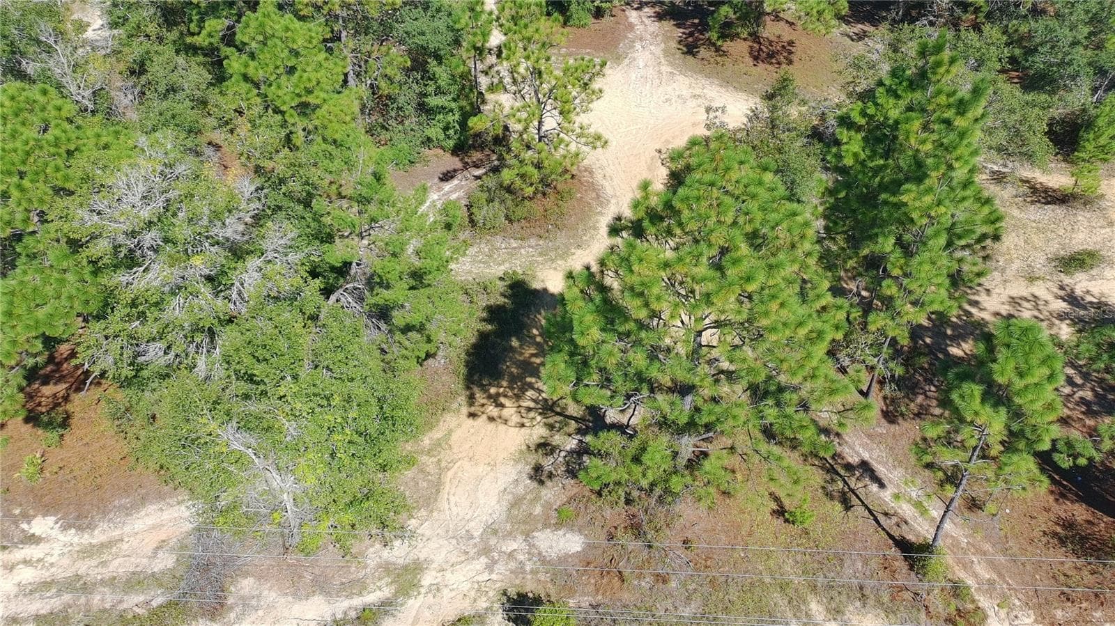 Land at 1402 TWIN LAKES BLVD, INTERLACHEN, photo 6 of 18
