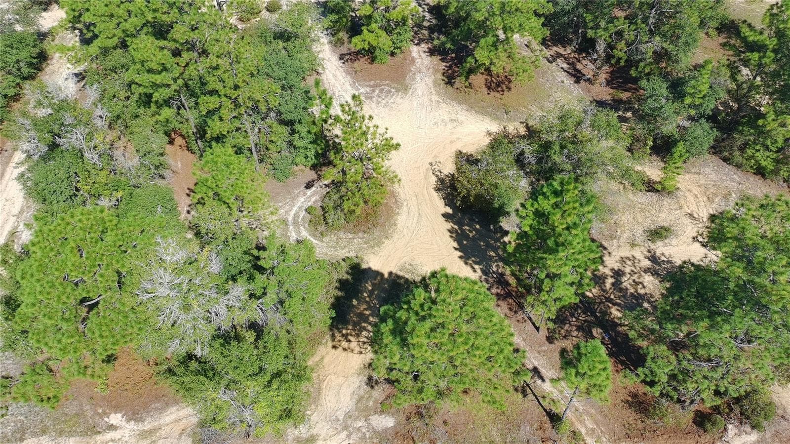 Land at 1404 TWIN LAKES BLVD, INTERLACHEN, photo 11 of 18