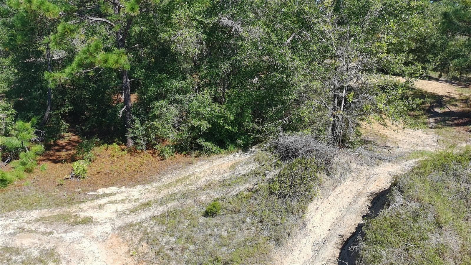 Land at 1404 TWIN LAKES BLVD, INTERLACHEN, photo 16 of 18